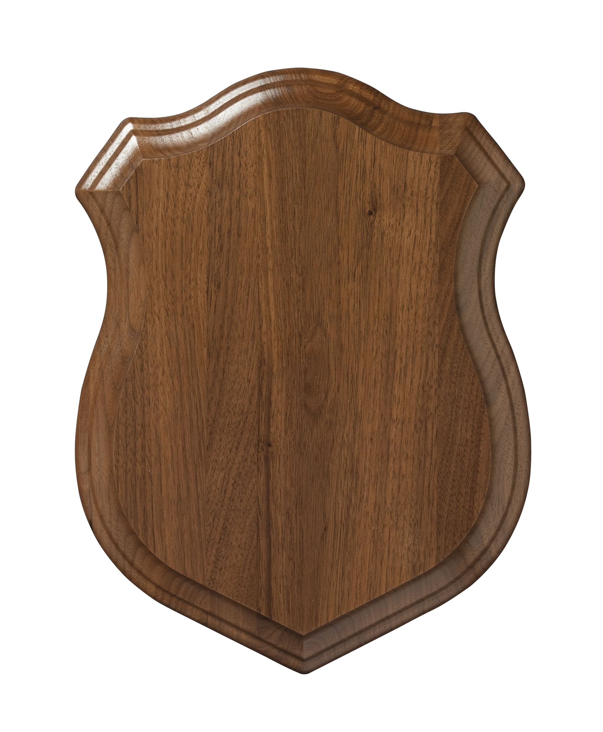 Shield symbolizing account security
